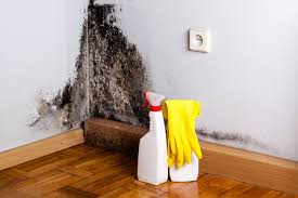 Mold Remediation for Rental Properties in Los Luceros, NM